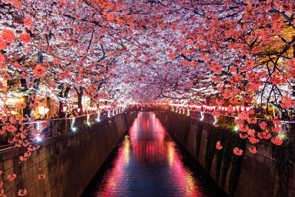 Navigating the Impact of a Japanese Pension on U.S. Social Security Benefits