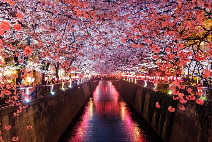 Navigating the Impact of a Japanese Pension on U.S. Social Security Benefits